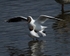 20110425-IMG_5049