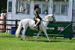 SBM_03705