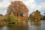 Buxted Sussex
