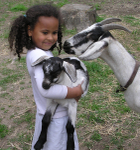 Abby and Goats
