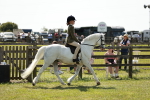 SBM_08464
