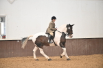 Ridden Showing Supreme Championships portfolio