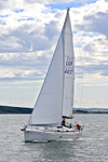 190729 SEA BADGER GBR9483T 1Y3A6702