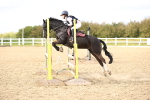 SBM_003931