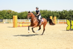 SBM_000432