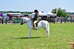 SBM_13949