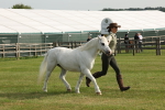 SBM_00570