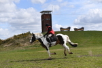 WJ5_1516