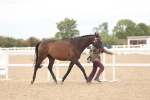 SBM_17054