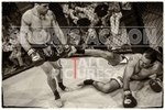 Cage Fighting_BW-10