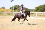 SBM_012324