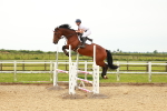SBM_001808