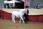 SBM_17301