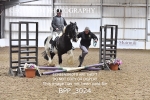 BPP_3024