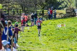 The Finish-558