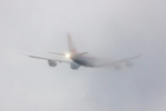 Cargolux portfolio