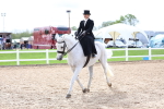 SBM_03453