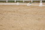 SBM_01600