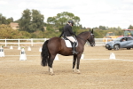 SBM_010913