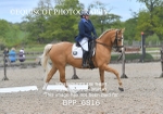 BPP_6816