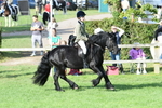 SBM_51982