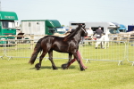SBM_00694