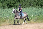 WJ7_8116
