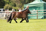 SBM_01814