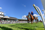 300926-Race 3-Fairydale-7761