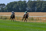 160726-Race 1-Clementines Star-3850