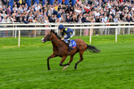 Race 2 14.25pm Sky Bet Supporting Macmillan Handicap portfolio