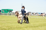 SBM_01782
