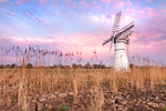 IMG_8622_Thurne