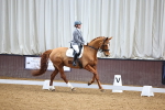 SBM_007964
