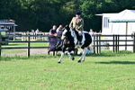 SBM_11422