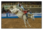 Bareback Bronc 1
