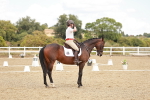 SBM_009951