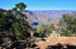 South Rim-10