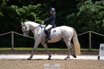 245-Neve_Moran-Clareville_golden_knight portfolio