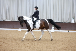 SBM_003545