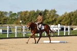 SBM_003363