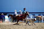 3HRodeo8-11-25_PRCASteer_01248_