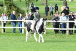 SBM_51833