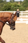 SBM_005796