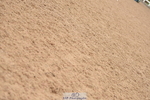 230628A-144532-00740