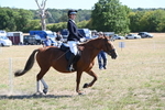 WJ6_8347