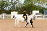 SBM_16541