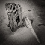 Photograph of Weathered Wood Spurn Point