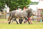 SBM_04149
