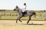 SBM_000356